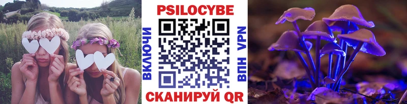 Галлюциногенные грибы мицелий  hydra онион  Гудермес 