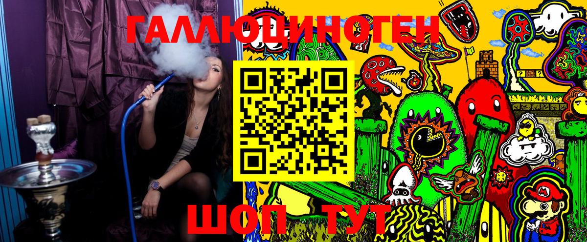 Галлюциногенные грибы Psilocybe Гудермес