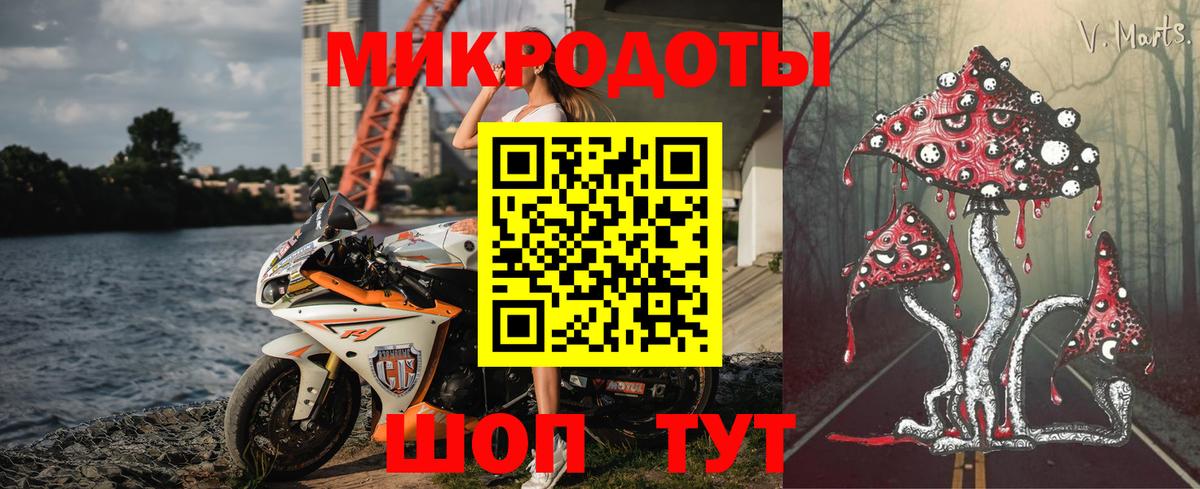 Псилоцибиновые грибы Cubensis  Вход с VPN  Псилоцибиновые грибы Cubensis  Гудермес 