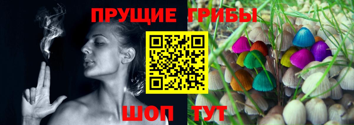 Псилоцибиновые грибы Cubensis  Гудермес  где продают   Псилоцибиновые грибы MAGIC MUSHROOMS 