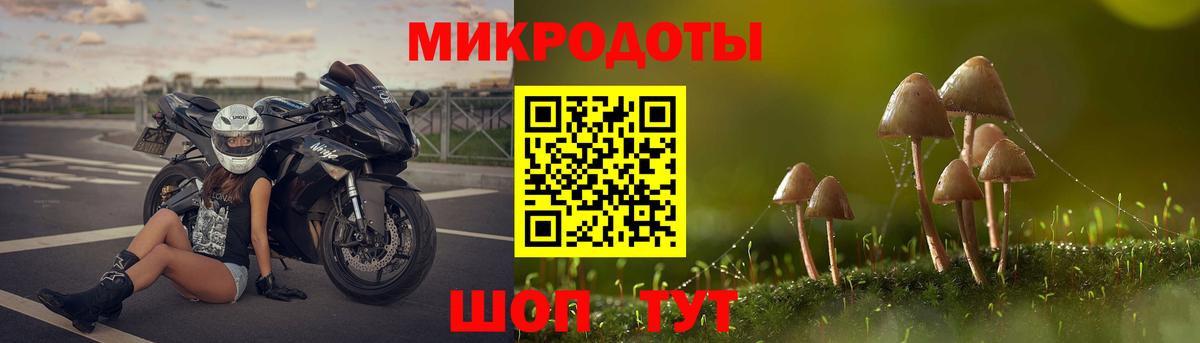 Галлюциногенные грибы Cubensis Гудермес