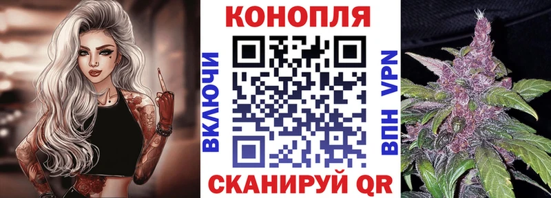 купить   Гудермес  Бошки Шишки конопля 