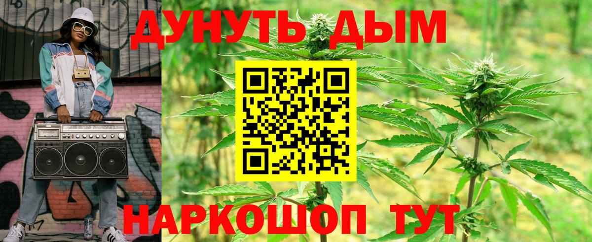 Канабис гибрид Гудермес